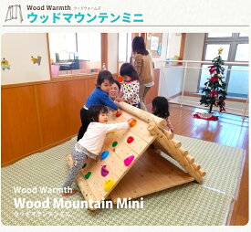【ふるさと納税】ウッド マウンテン ミニ（ ボルダリング タイプ ） | アスレチック 遊具 公園 自然工房 奈良県 上北山村 国産木材 新築 お祝い プレゼント 入学 入園