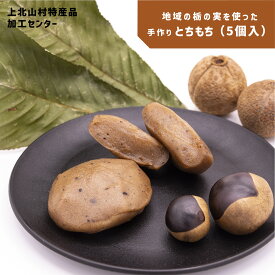 【ふるさと納税】上北山村 特産品 とち餅 5パック | 日本遺産 昔ながらの製法 おもち お餅 とちの実 お土産 奈良県 上北山村