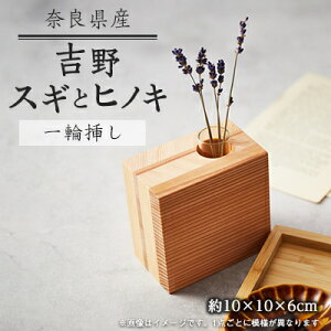 yӂ邳Ɣ[ŁzXMƃqmL֑̈}y1463005z