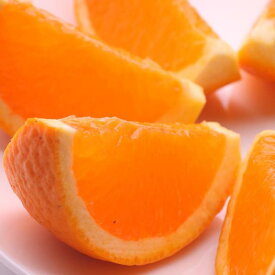 【ふるさと納税】＜2月より発送＞家庭用清見オレンジ4.5kg+135g（傷み補償分）訳あり | フルーツ 果物 くだもの 食品 人気 おすすめ 送料無料 光センサー食頃出荷 樹上完熟きよみオレンジ 清見タンゴール 清美わけあり