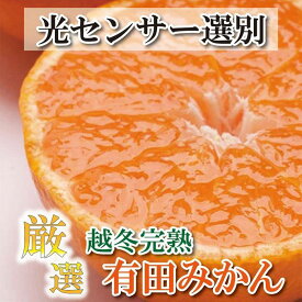 【ふるさと納税】＜1月より発送＞厳選 越冬完熟みかん5kg+150g（傷み補償分）訳ありハウスみかん | フルーツ 果物 くだもの 食品 人気 おすすめ 送料無料 わけあり 光センサー選果