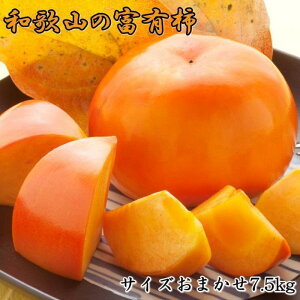 yӂ邳Ɣ[Łz [Ê`̉l]a̎RYxL`@7.5kg TCY܂2025N11{菇yTM5z