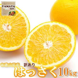 【ふるさと納税】［訳あり］はっさく 和歌山産 八朔 10kg ［ご自宅用・サイズ不揃い・キズ等あり］ | 和歌山市 柑橘 果物 八朔 サイズ不揃い 訳あり 人気 おすすめ 柑橘類 フルーツ 旬 果物 冬 ギフト 自宅用 お取り寄せ 送料無料 ふるさと納税