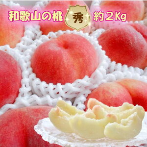 【ふるさと納税】【秀品】和歌山ブランド白桃 約2kg! ギフト 贈答品にも! 2026年7月発送分 | フルーツ 果物 くだもの 食品 人気 おすすめ 送料無料