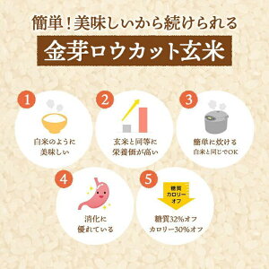 アイテムID:495630の画像4枚目