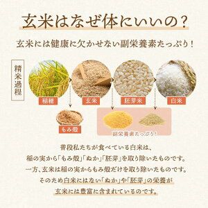 アイテムID:495630の画像5枚目