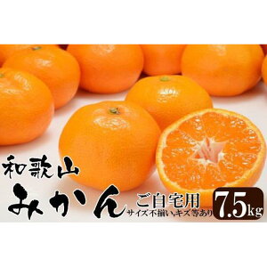 yӂ邳Ɣ[Łz݂ a̎RY y󂠂z~J 7 . 5kg ypETCYsELYz | t[c ʕ  Hi lC  
