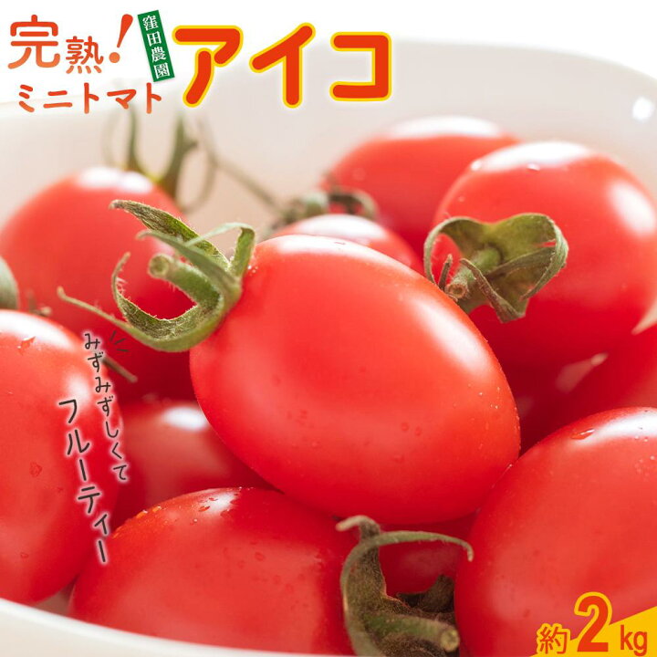 和歌山産ミニトマトアイコ9キロ 