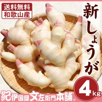 楽天市場】新生姜（総重量（野菜）4.0 ～ 4.9kg）（食品）の通販