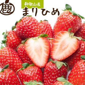 【ふるさと納税】朝摘み完熟まりひめ約600g（300g前後×2トレイ）［和歌山ブランド苺まりひめ］［こだわりの土耕栽培のいちごを農家直送］［IKE101］