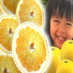 yӂ邳Ɣ[Łza̎RY  Gi 3kg(TCY܂) | t[c ʕ  Hi lC  