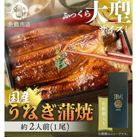 【ふるさと納税】大型サイズ　ふっくら柔らか　国産うなぎ蒲焼き　1尾（約2人前）化粧箱入［春土用の丑の日のうなぎ］［～4月21日までにお届け］［UT04］ | 鰻 魚介類 水産 食品 人気 おすすめ 送料無料