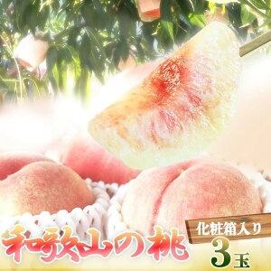 yӂ邳Ɣ[ŁzGi IBa̎RY̓ 3ʁ@ϔm2026N6{菇nmUT105n