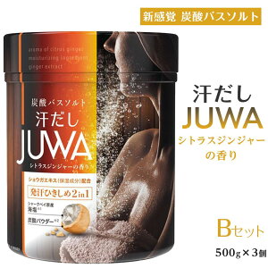 yӂ邳Ɣ[ŁzVoY_oX\g BZbg JUWAVgXWW[̍ 500g 3 | tFebN  y  oX\g ObY ΍ Y_{C