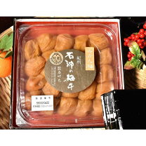 楽天市場】みかん 梅の通販