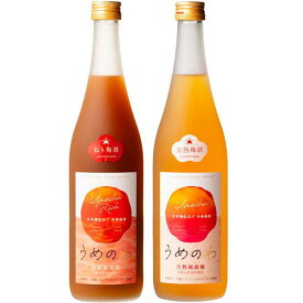 【ふるさと納税】【紀州完熟南高梅使用】濃厚「ねり梅酒」と芳醇「梅酒」各720mlの飲み比べ【TM18】 | 和歌山 楽天ふるさと 納税 支援品 支援 返礼品 返礼 お礼の品 お取り寄せ 取り寄せ お酒 酒 おさけ さけ アルコール飲料 梅酒 紀州南高梅 ご当地 地酒