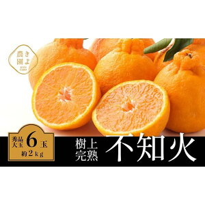 yӂ邳Ɣ[Łzsm 󏭂Ȏ㊮nI Gi 6 (2kg)@y2026N2{`4{܂ŔzyKT2z | t[c ʕ  Hi lC  