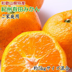 yӂ邳Ɣ[Łza̎RLc݂5kg ƒpiTCYj2025N11{菇yTM102z | a̎R a̎Rs a̎R yVӂ邳 [ xi ԗi 񂹃O 