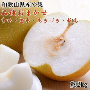 yӂ邳Ɣ[Łza̎RY̗2kg(i킨܂)2026N8{菇yTM181z