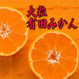 【ふるさと納税】迫力満点 大粒 有田みかん 約7.5~10kg【2024年11月中旬～2025年1月中旬発送】 | みかん 有田みかん 柑橘 蜜柑 和歌山 フルーツ 果物 ふるさと納税 返礼品