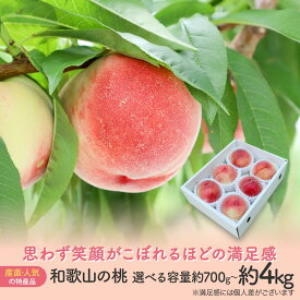 【ふるさと納税】【産直・人気の特産品】和歌山の桃　約700g／1.5kg／2kg／4kg・秀選品2026年6月下旬～8月中旬頃順次発送★ | 和歌山県 和歌山市 和歌山 楽天ふるさと 納税 支援品 返礼品 グルメ フルーツ 果物 くだもの 桃 もも モモ ピーチ 特産品 おいしい 美味しい