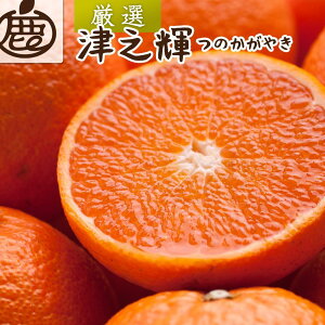 yӂ邳Ɣ[Łzms\nI ÔVP1kg+250giݕ⏞jm̂₫nmƂɎknmZT[IʁnmIKE55n | t[c ʕ  Hi lC  
