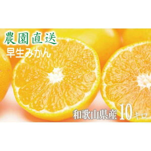 yӂ邳Ɣ[ŁzyIׂʁETCYEeʁz a̎R _ ݂ sƒptƖ󂠂 ܂Y݂ ~J  B݂ 킯 A ykCEꌧ