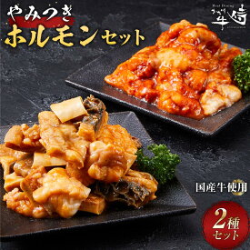 【ふるさと納税】やみつきホルモンセット 400g | 肉 お肉 にく 食品 和歌山産 人気 おすすめ 送料無料 ギフト