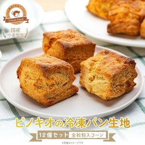 yӂ邳Ɣ[ŁzsmLI̗Ⓚpn12Zbg iSXR[j | Hi HHi lC   x[J[