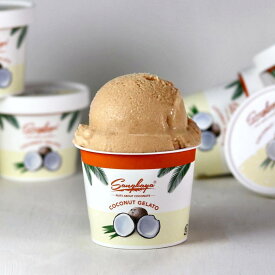 【ふるさと納税】［無添加、卵不使用］グラマラッカココナッツジェラート8個セット | アイス お菓子 菓子 おかし スイーツ デザート 食品 人気 おすすめ 送料無料