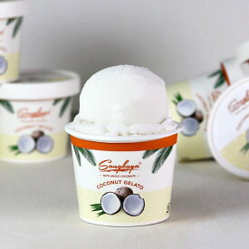 【ふるさと納税】［卵、香料不使用］ローストココナッツ付き濃厚ココナッツジェラート8個セット | アイス お菓子 菓子 おかし スイーツ デザート 食品 人気 おすすめ 送料無料