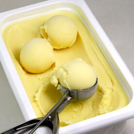 【ふるさと納税】［無添加、卵・乳不使用］マンゴーココナッツジェラート1L | アイス お菓子 菓子 おかし スイーツ デザート 食品 人気 おすすめ 送料無料