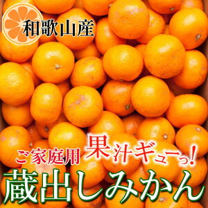 yӂ邳Ɣ[Łzƒp o݂5kg+250giݕ⏞jm2026N1{2026N2{\nmIKE242n | t[c ʕ  Hi lC   Lc̑o