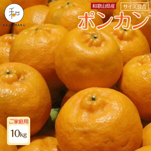 yӂ邳Ɣ[Łzms\nƒp X{_̎I |J 4.5kg`10kg a̎RY TCY mkCEEzsn | ݂  t[c ʕ  Hi lC 