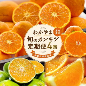 yӂ邳Ɣ[Łzmƒp 󂠂n킩܏{̃JLc[S] S4 3E5E9E11mMS119n | t[c ʕ  Hi lC  