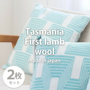 yӂ邳Ɣ[ŁzyIׂJ[zy2gz􂦂^X}jAE[NbVJo[ 45×45cm OTW-4545-2P | pi lC  