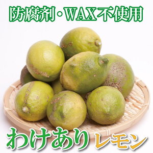 yӂ邳Ɣ[Łzƒp 5kg+250giݕ⏞jya̎RLcYzyh܁EWAXsgpAS̍Yzy킯E󂠂背zmIKE126n