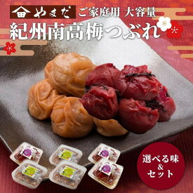 【ふるさと納税】【選べる容量】ご家庭用 大容量 紀州南高梅 つぶれ梅 うす塩（塩分6%） or しそ漬（塩分15%） or 詰め合わせ［YM15］ | 梅干し 梅 食品 加工食品 人気 おすすめ 送料無料