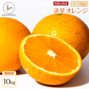 yӂ邳Ɣ[ŁzyIׂeʁz p X{_̎I IIW 2`10kg a̎RY TCY mkCEEzsnm2026N2{5{\n 