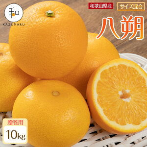 yӂ邳Ɣ[ŁzyIׂeʁzp X{_̎I  2`10kg a̎RY TCY mkCEEzsnm2026N1{2{\n | ݂  