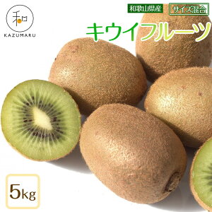 yӂ邳Ɣ[ŁzyIׂeʁzX{_ LECt[c 2`5kg a̎RY TCY mkCEEzsnm2026N2{珇n | LECt[c LEC t[