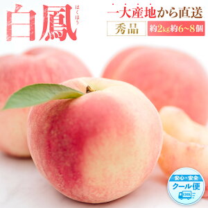 yӂ邳Ɣ[Łzs̔Imn P@̉lI2kg6`8 m2026N6{菇nmGin_ƌI mKG12n |  t[c ʕ  lC  
