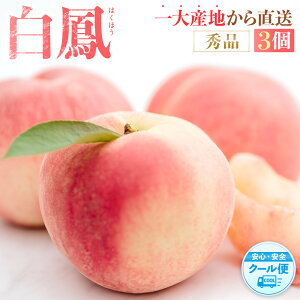 yӂ邳Ɣ[Łzs̔Imn P@̉lIHׂ₷3m2026N6{菇nmGin_ƌI mKG17n |  t[c ʕ  Hi lC 