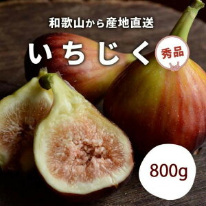 yӂ邳Ɣ[Łza̎RY  Gi 800g`1.6kg