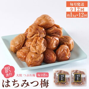 yӂ邳Ɣ[ŁzyPiEւIz󂠂 ~ 嗱  Ԃ~ ݂͂~ 8 500g or 1kg(500g×2) | ~~ Hi HHi lC  