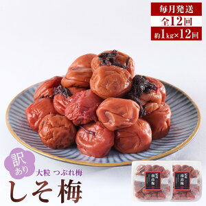 yӂ邳Ɣ[ŁzyPiEւIz󂠂 ~ 嗱  Ԃ~ ~ 10 500g or 1kg(500g×2) | ~~ Hi HHi lC  