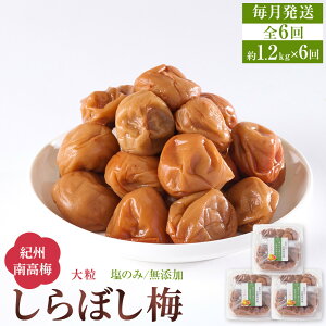 yӂ邳Ɣ[ŁzyPiEւIz~ ڂ~ 400g or 800g or 1.2kg ̂ Y 嗱 IB썂~ 15 a̎RY | ~ ~ Hi HHi lC  