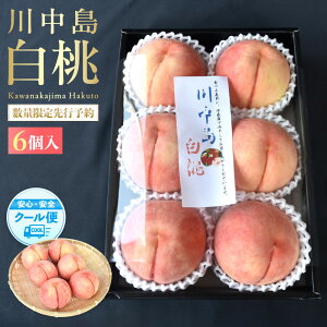 yӂ邳Ɣ[Łzm2026NnmIʌs\In쒆 2kg 6 1001̌Ii _ƌIImKG33n |  t[c ʕ  Hi lC  Yn