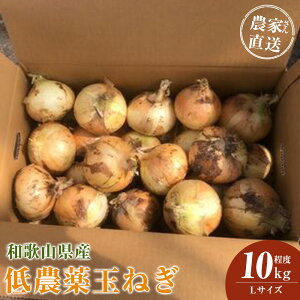 yӂ邳Ɣ[ŁzmIׂTCYnm2026NEs\n_Ƃ񒼑 _ʂ˂ S~2LTCY 10kgxm4{`7{\n | ܂˂ _ ʂ˂  ₳ Hi l