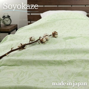 yӂ邳Ɣ[ŁzyIׂJ[zwy₩xŐ󂵂₷100%^IPbg VOTCYi140×190cmj5164 | zc ^IPbgQ pi lC  